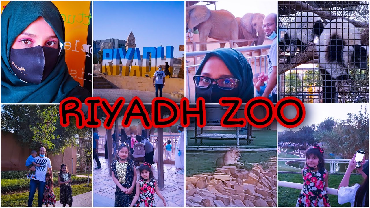 Riyadh zoo trip of Riyadh travelling hlog of saudoa arab #mbyvlog @mbyvlog160