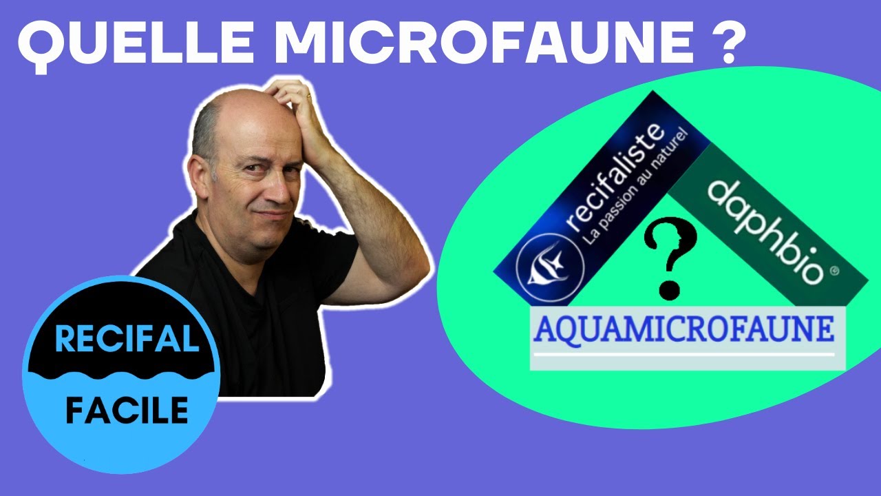 Quelle Microfaune dans un Bac Marin ?