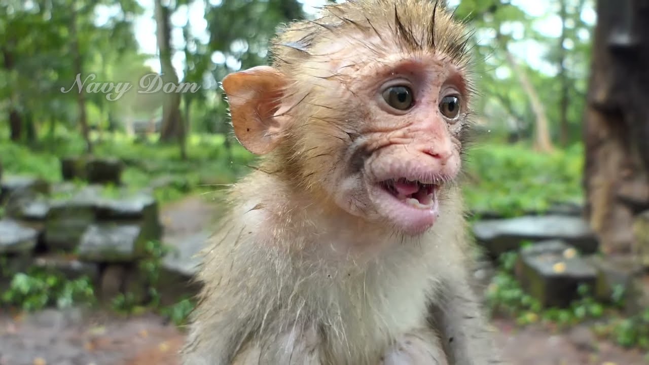 Smile after rain, poor orphan looks starving