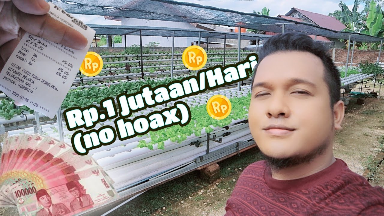 CARA PEMASARAN HASIL PANEN SAYUR HIDROPONIK (Part 1)