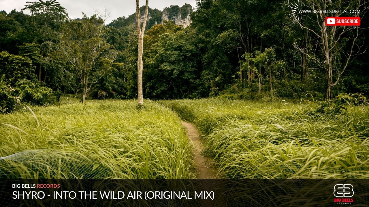 SHYRO - Into the Wild Air [Progressive House Music 2025]