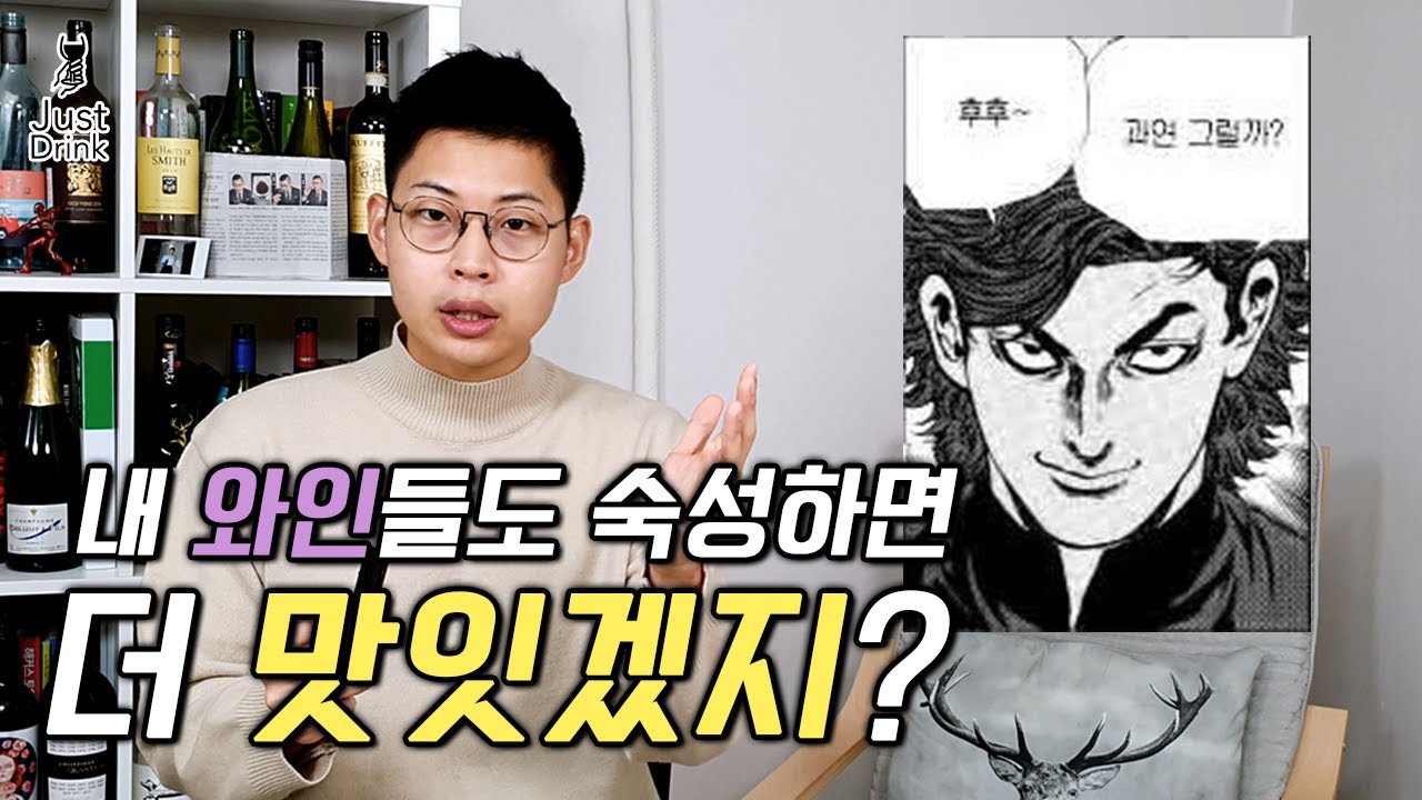 선물 받은 와인 오래 보관하면 더 맛있어질까? [와인꿀팁 #43화]