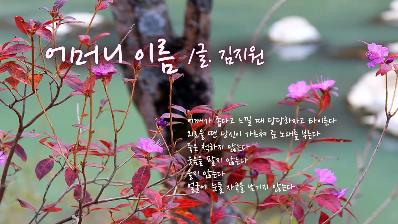 시노래 김지원 - 어머니 이름