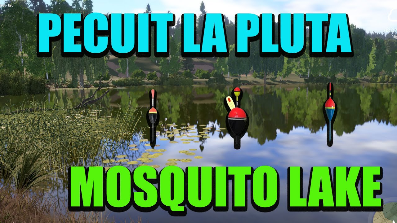 RF4 -2025 - Pescuit la Pluta Incepatori Mosquito Lake Ep.3 #rf4 #tutorial #romania
