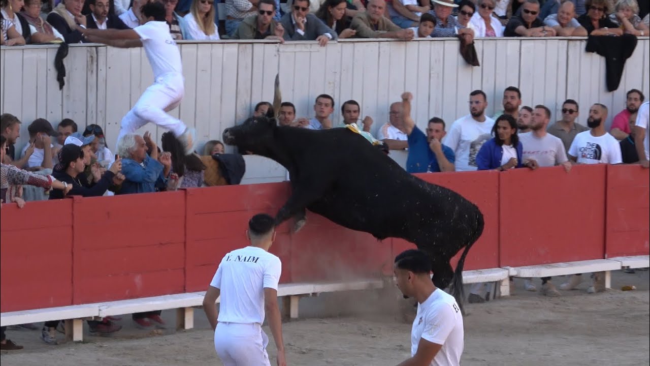 ARLES COURSE FINALE TROPHEE DES AS 12/10/25