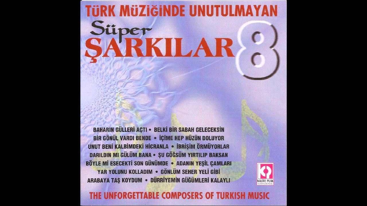 İçime Hep Hüzün Doluyor - Faruk Salgar