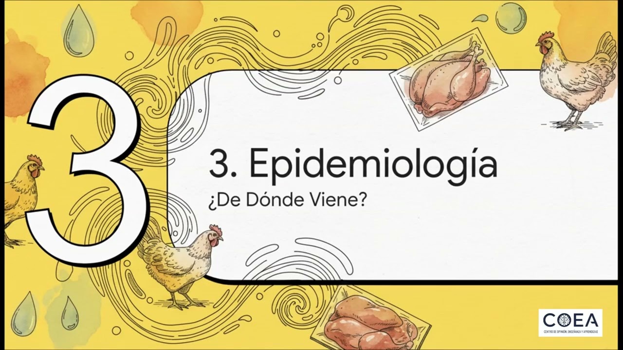 Campylobacter  jejuni - Microbiología