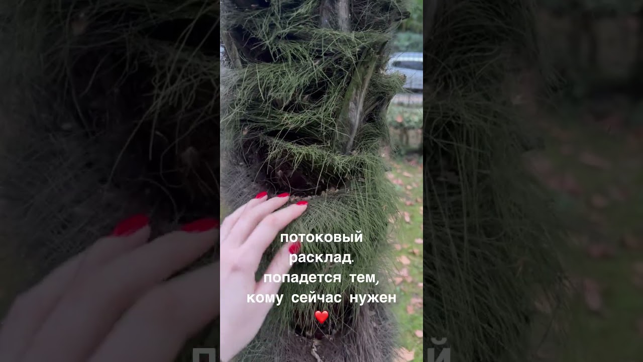 расклад на конец декабря. найдет тебя сам 