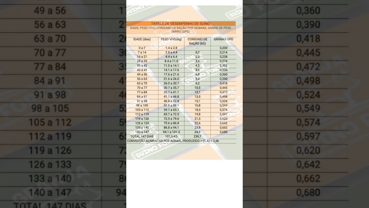 Tabela de desempenho de suínos 