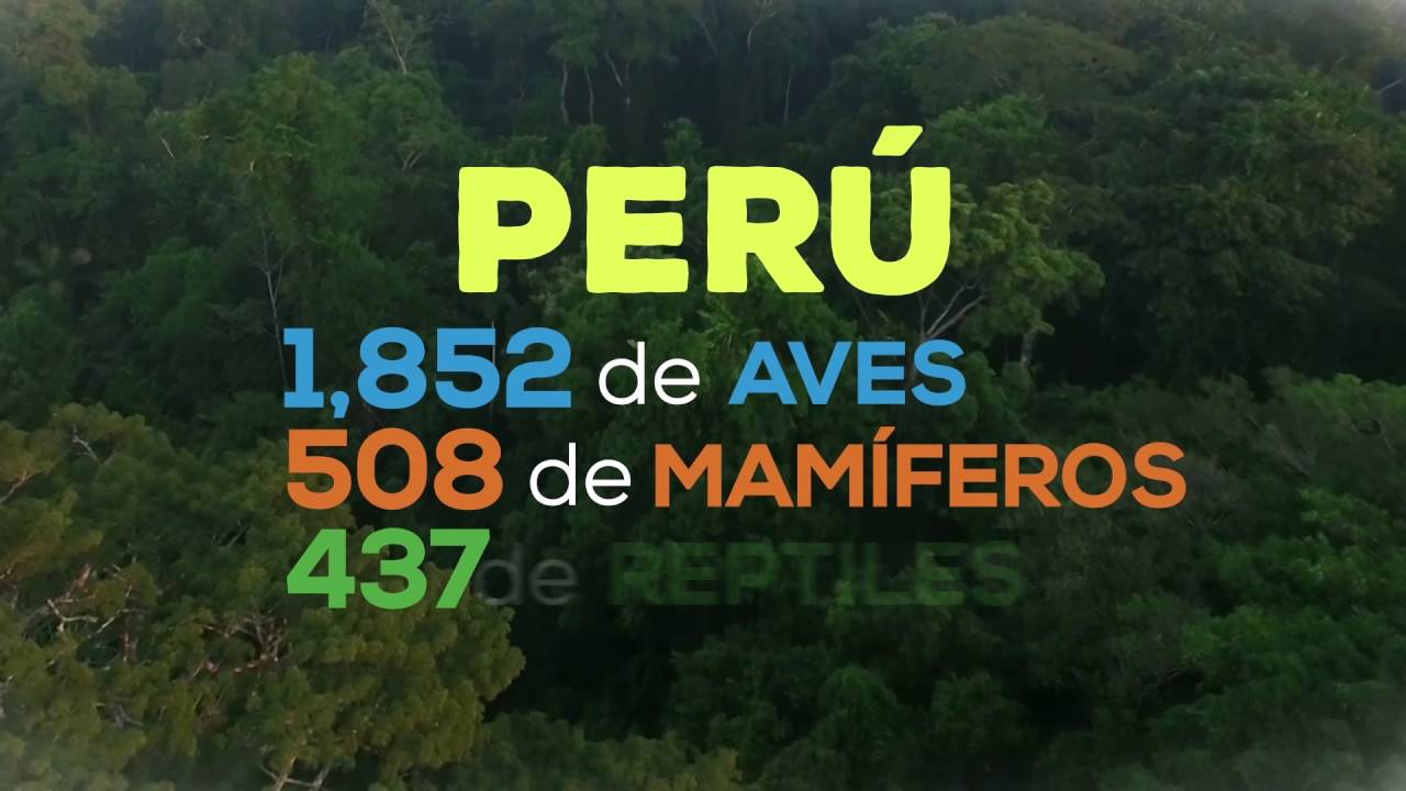 Perú amazónico - Capitulo: Bosques secos
