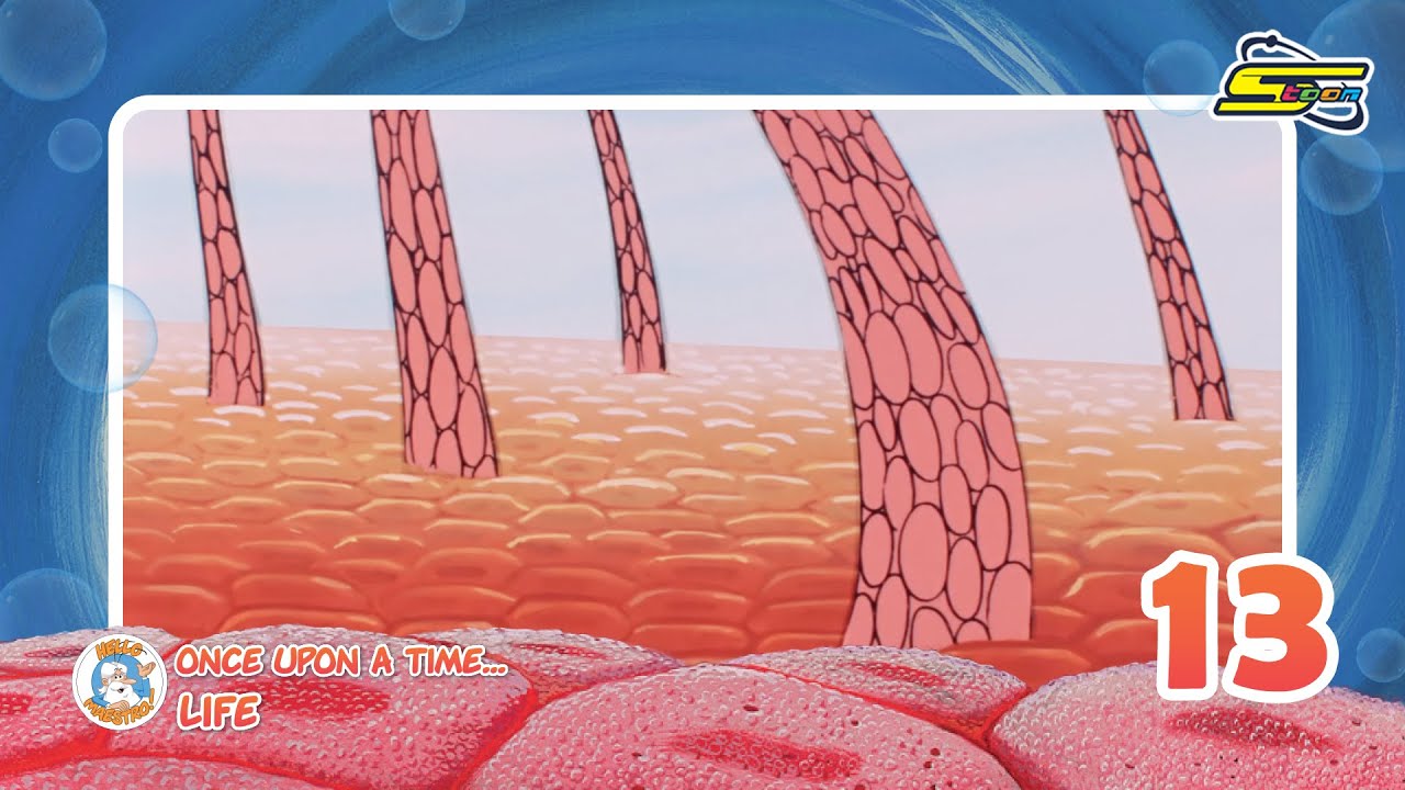 سبيستون | كان يا ما كان الحياة | الحلقة 13 | الجلد