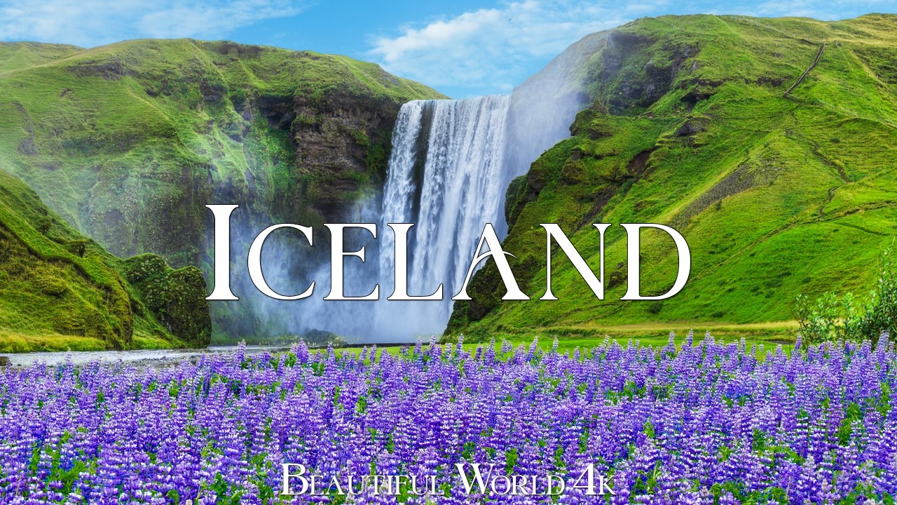 Iceland 4K | Skogafoss Thundering Over Neon Green Cliffs and Endless Purple Lupine Seas