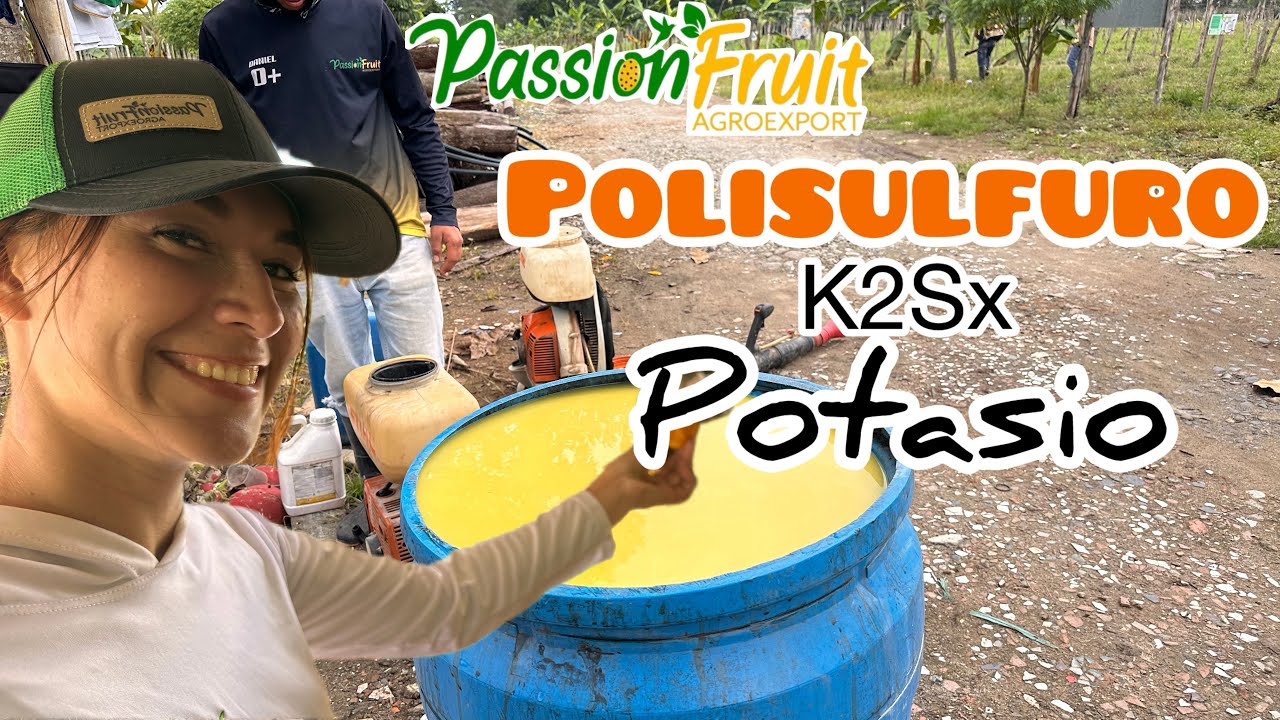 Polisulfuro de Potasio K2Sx para control de Trips, Ácaros y Hongos
