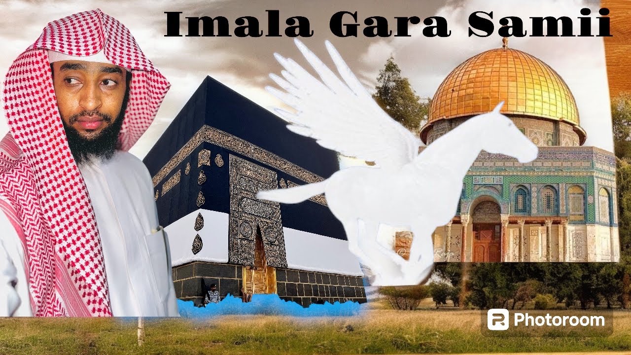 Halkan Seenaa Kutaa 1ffaa || Ibsaa Hasan||