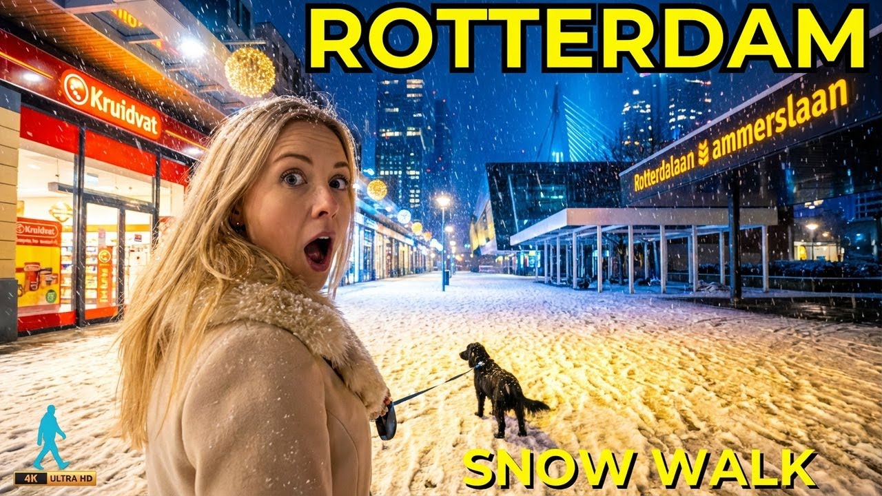 Rotterdam After Dark | Breathtaking Winter Walk In 4K!