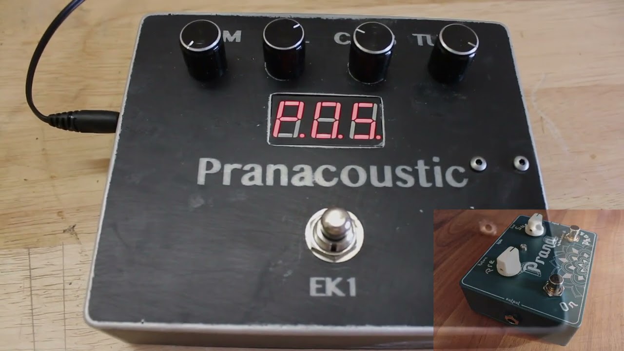 Acoustic Guitar 'Organic' Infinite Sustain