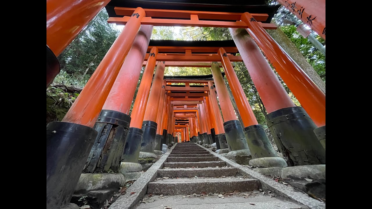The Thousand Torii Gates Leading to the Realm Beyond, and the Shinkansen Experience to Get There!