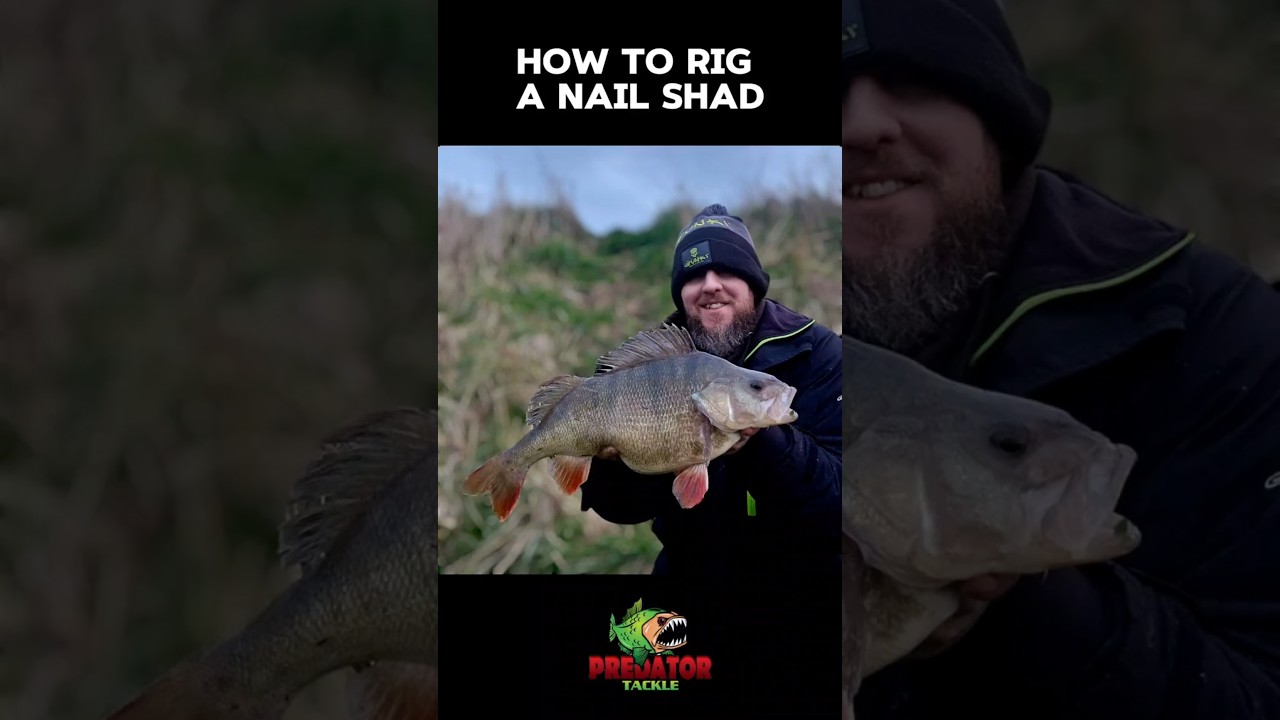 Как оснастить приманку в виде шеда 