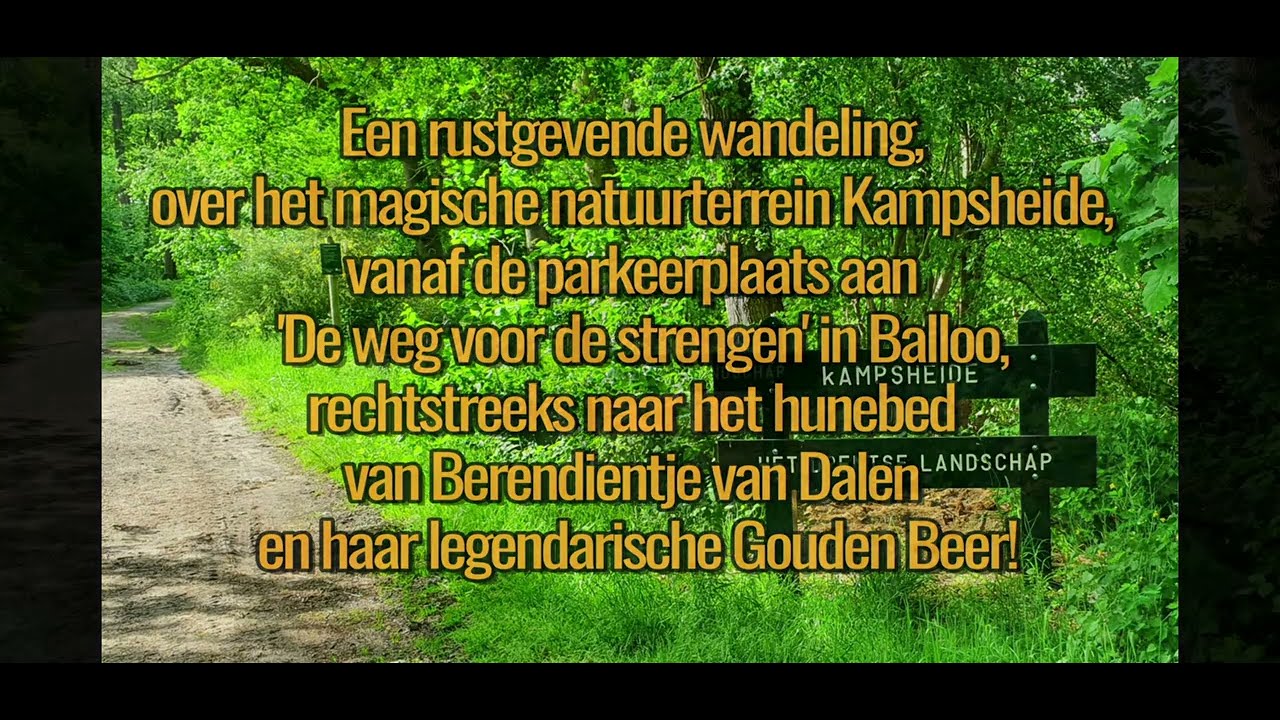 Een wandeling over Kampsheide, naar het hunebed van Balloo