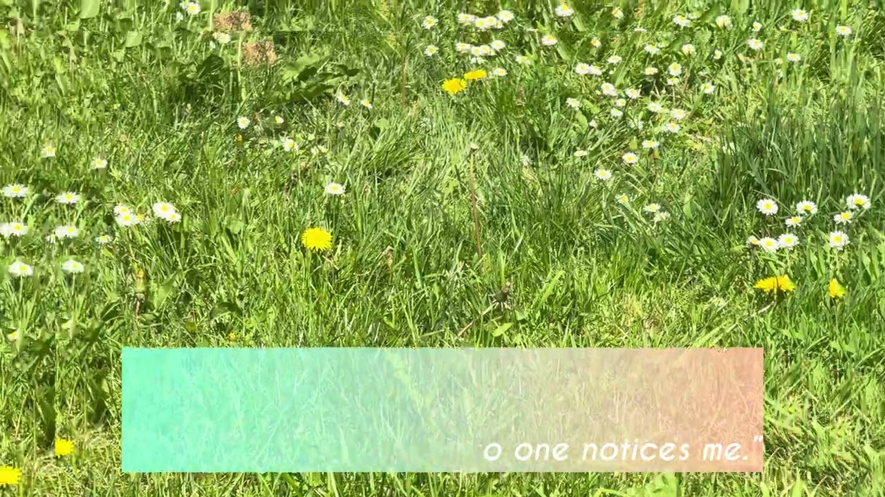 زیبایی_تفاوت 