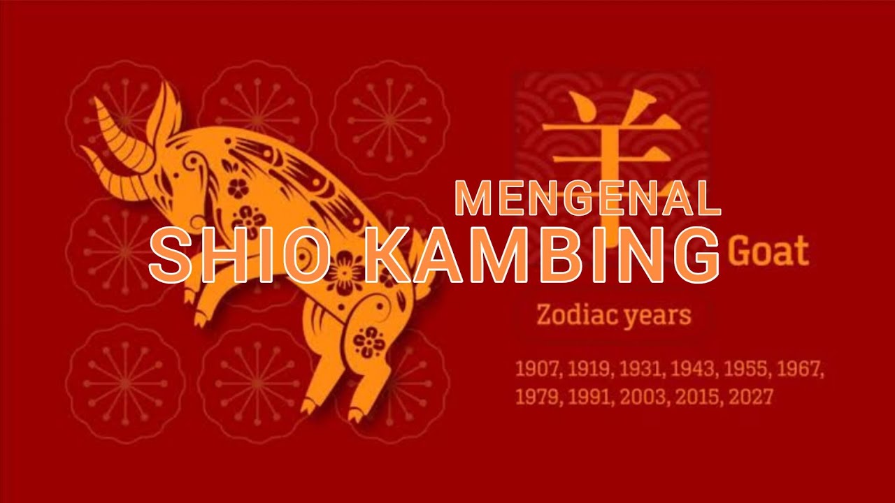 MENGENAL SHIO KAMBING BERDASARKAN 5  ELEMEN | Sifat Dan Karakter Shio Kambing