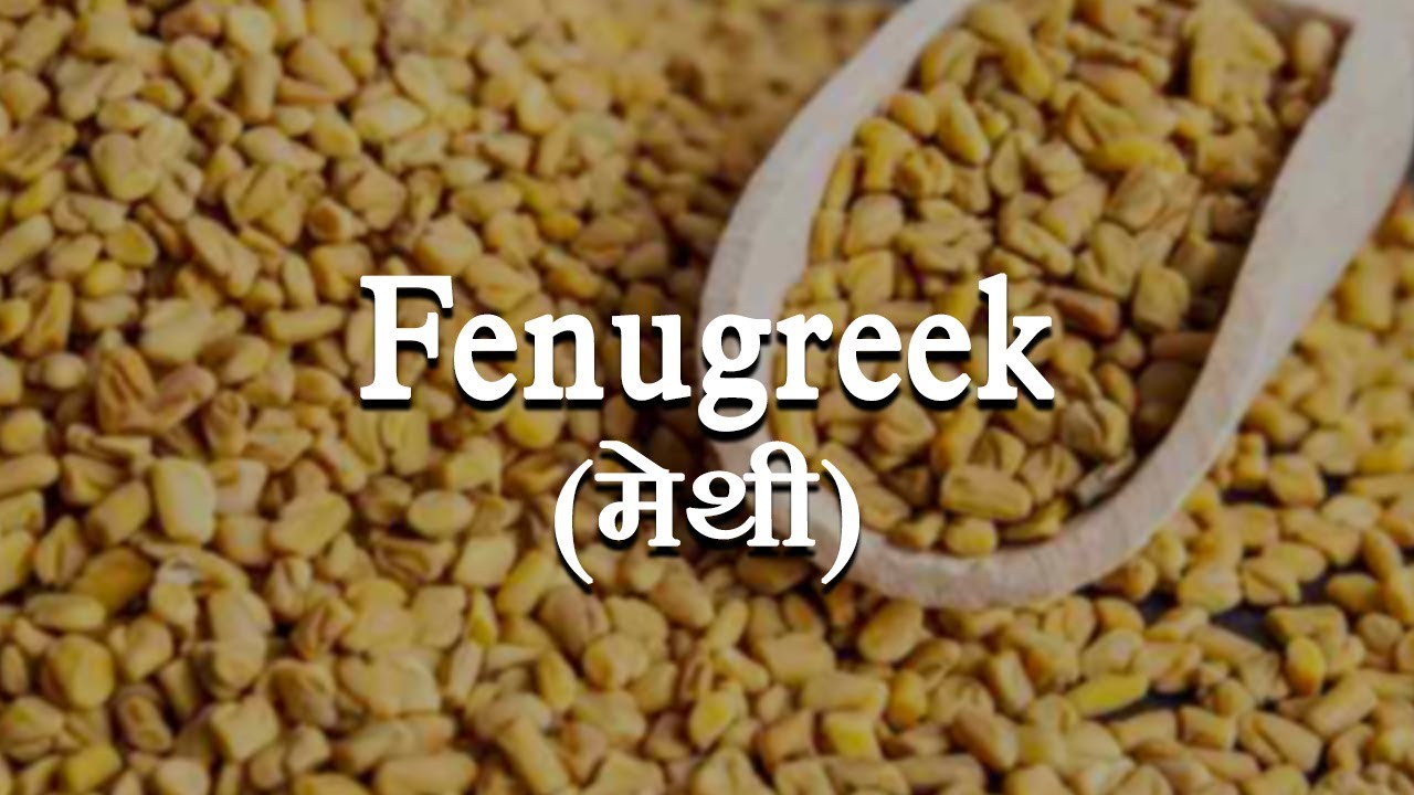 Health Benefits of Fenugreek (मेथी) | Acharya Balkrishna