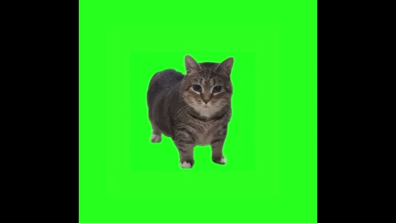 genshin-primo-gemme-gratuit