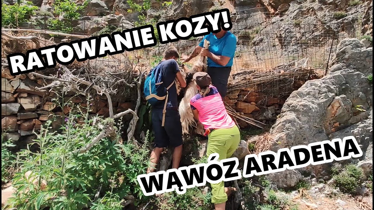 [S2E22] - Ratowanie kozy - wąw&oacute;z ARADENA, most ARADENA, miasto ARADENA, wędr&oacute;wki
