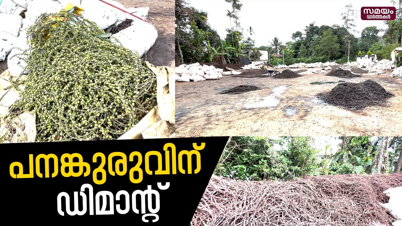 പനംകായകള്‍ക്ക് പണം നല്‍കുന്ന വയനാട്ടിലെ മാര്‍ക്കറ്റ്