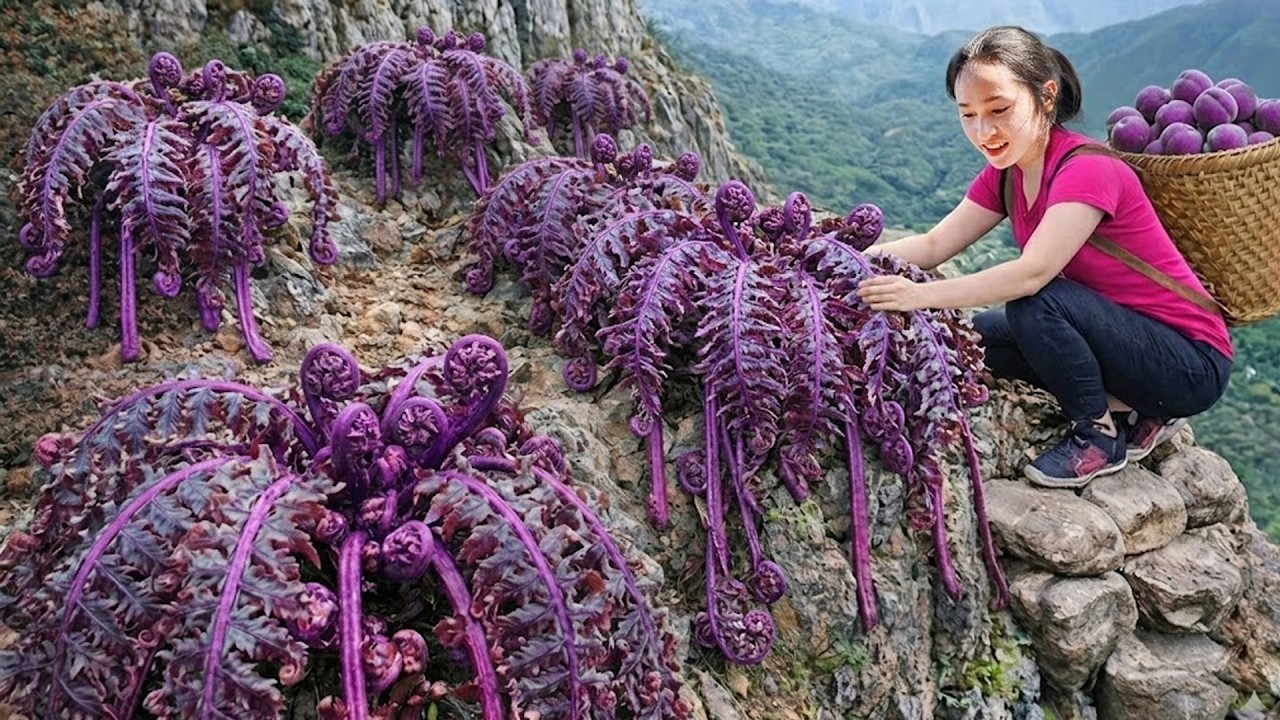 Harvesting Juicy Peaches On Dangerous Cliffs | Shocking Discovery in the Wild | off the grid
