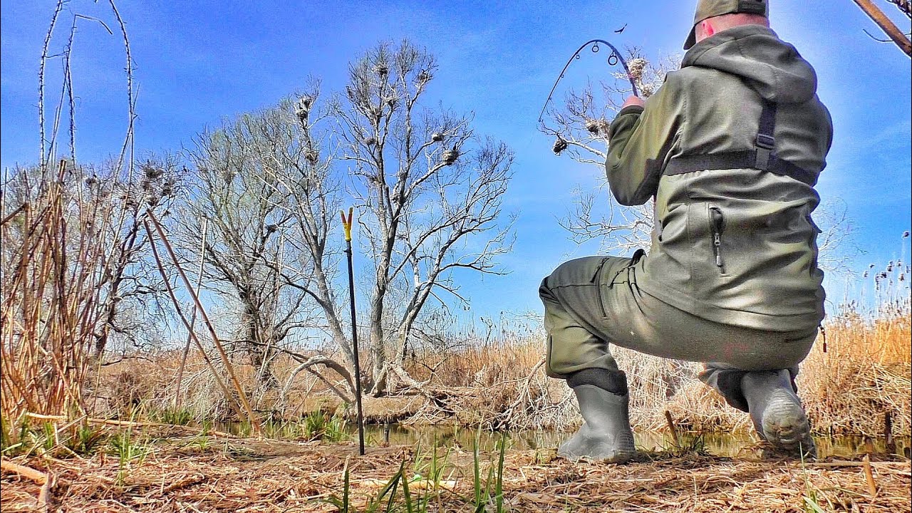 РЕАЛЬНЫЕ ЛАПТИ в самом ДИКОМ МЕСТЕ!!! Огромные КАРАСИ КАК САЗАНЫ клюют под НОГАМИ. Рыбалка на ДОНКИ.