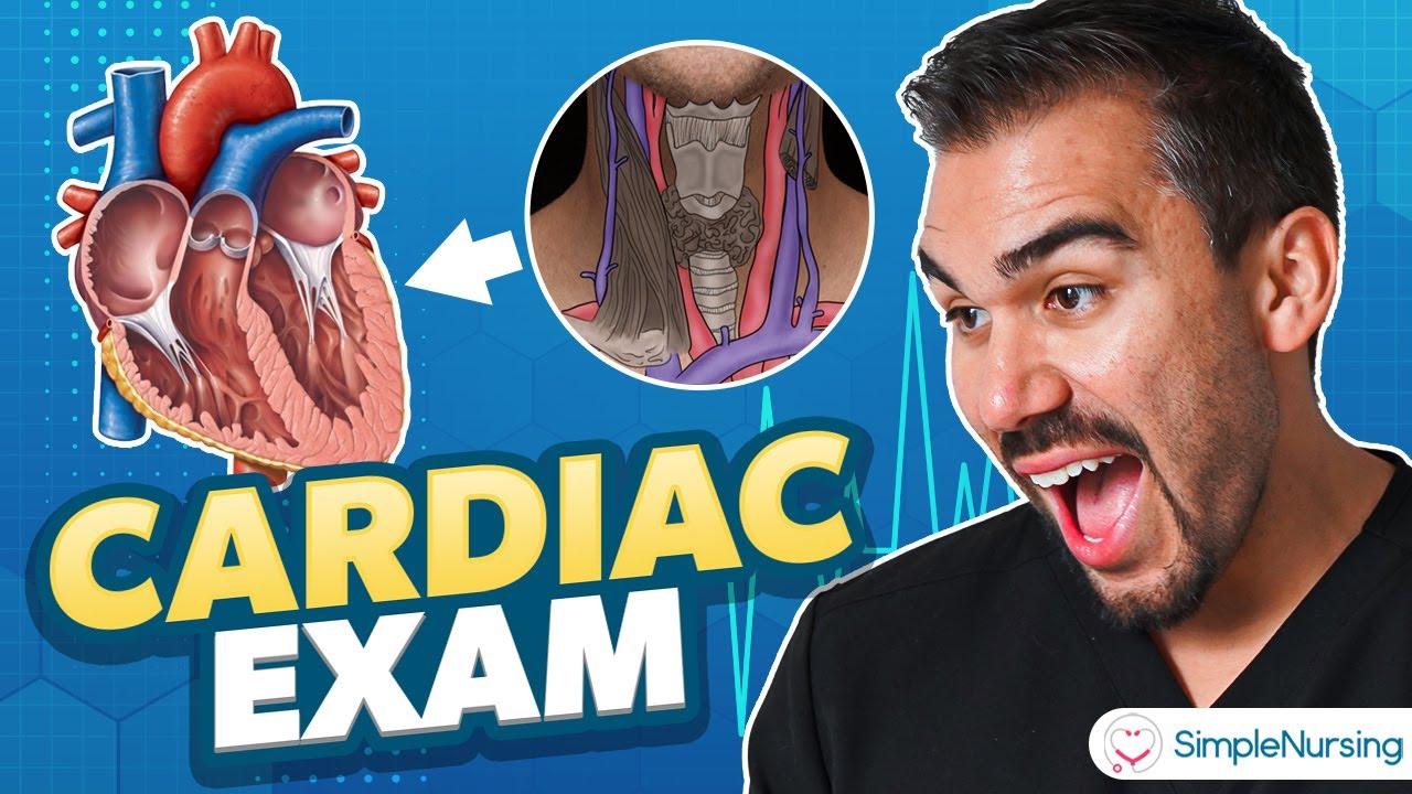 Cardiac Objective Physical Exam for Nursing Students Made EASY