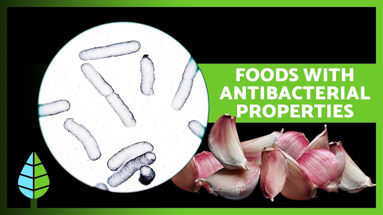 14 NATURAL ANTIBIOTICS 🌿🦠 (Antibacterial Foods and Plants)