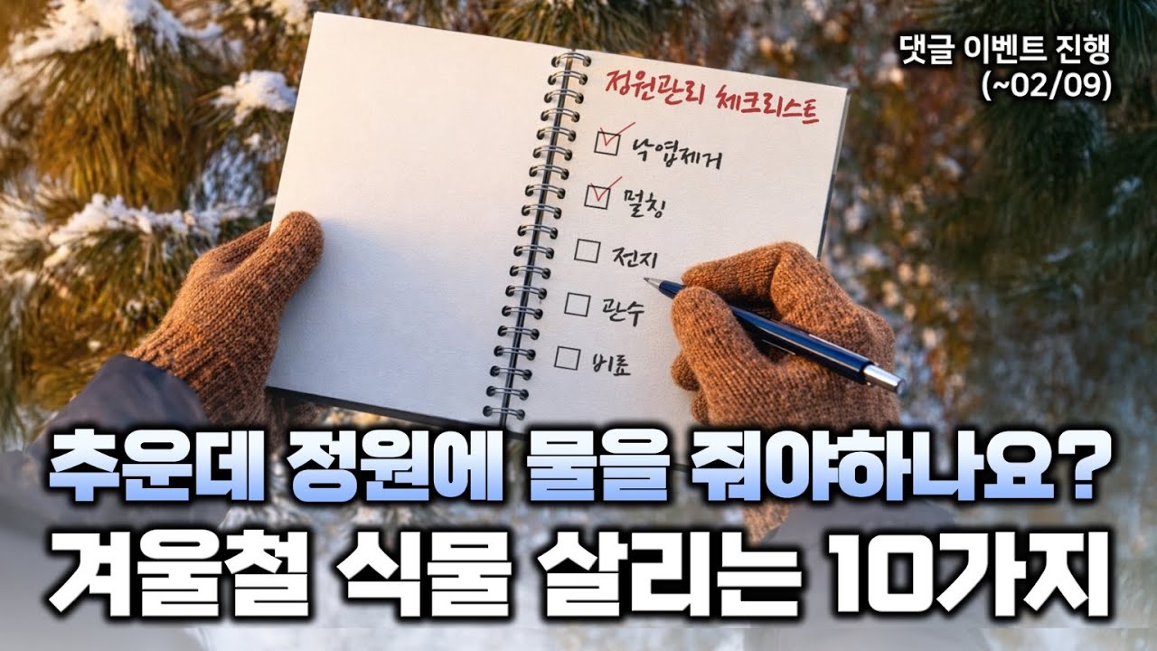 겨울철 정원 관리법☃️ 및 정원관리 꿀팁 댓글 이벤트 🎁