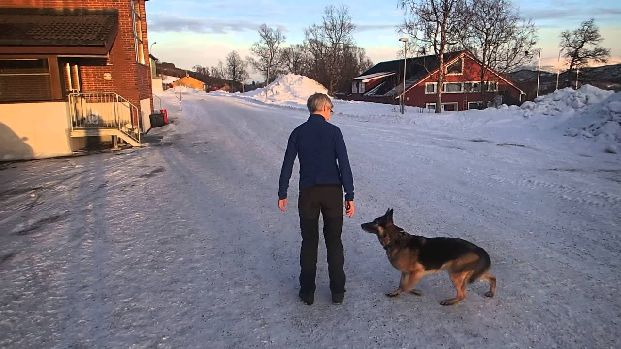 P2190025 ECCO h&oslash;yre / venstre snurr, liten sirkel