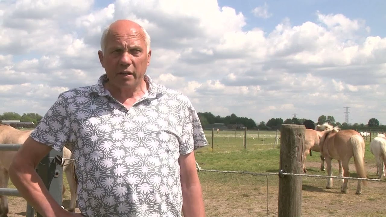 Manege de Hoeven nieuws - 13 05 2022