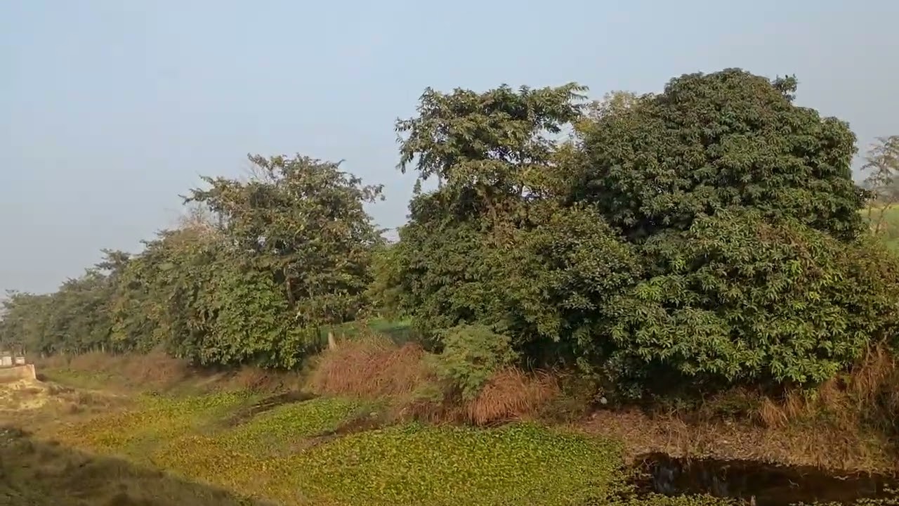 Jhanjharpur Jn (JJP) to Laukaha (LKQ) train entering Vachaspatinagar (VPH).