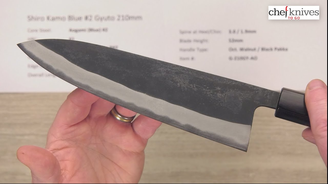 Shiro Kamo Blue #2 Gyuto 210mm Quick Look