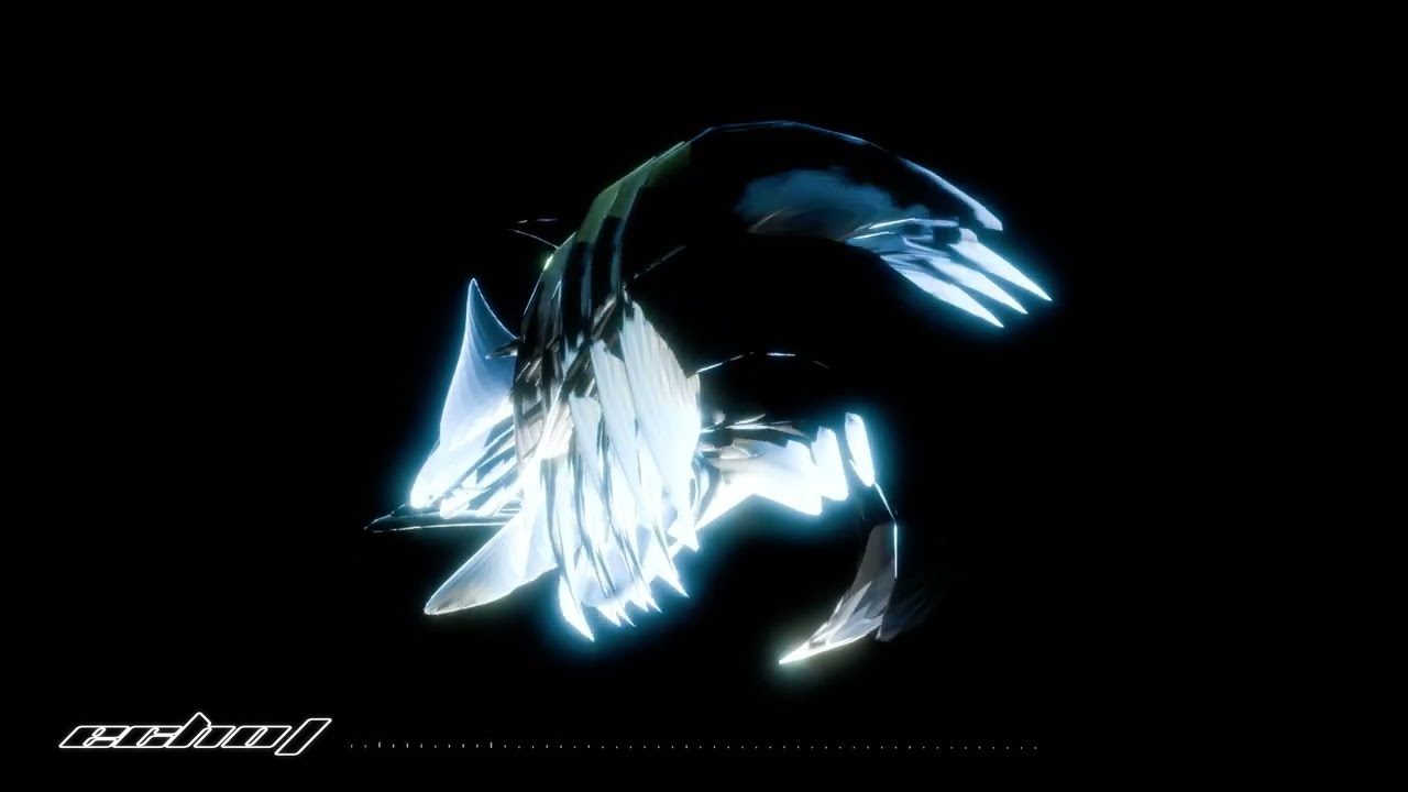 Cvmpliant _ Echo
