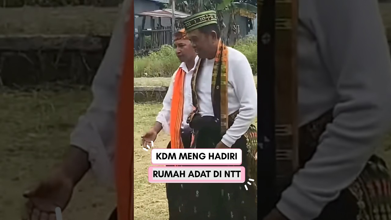 KDM menghadiri rumah adat di NTT #viralgubernurjabar #kangdedymulyadi