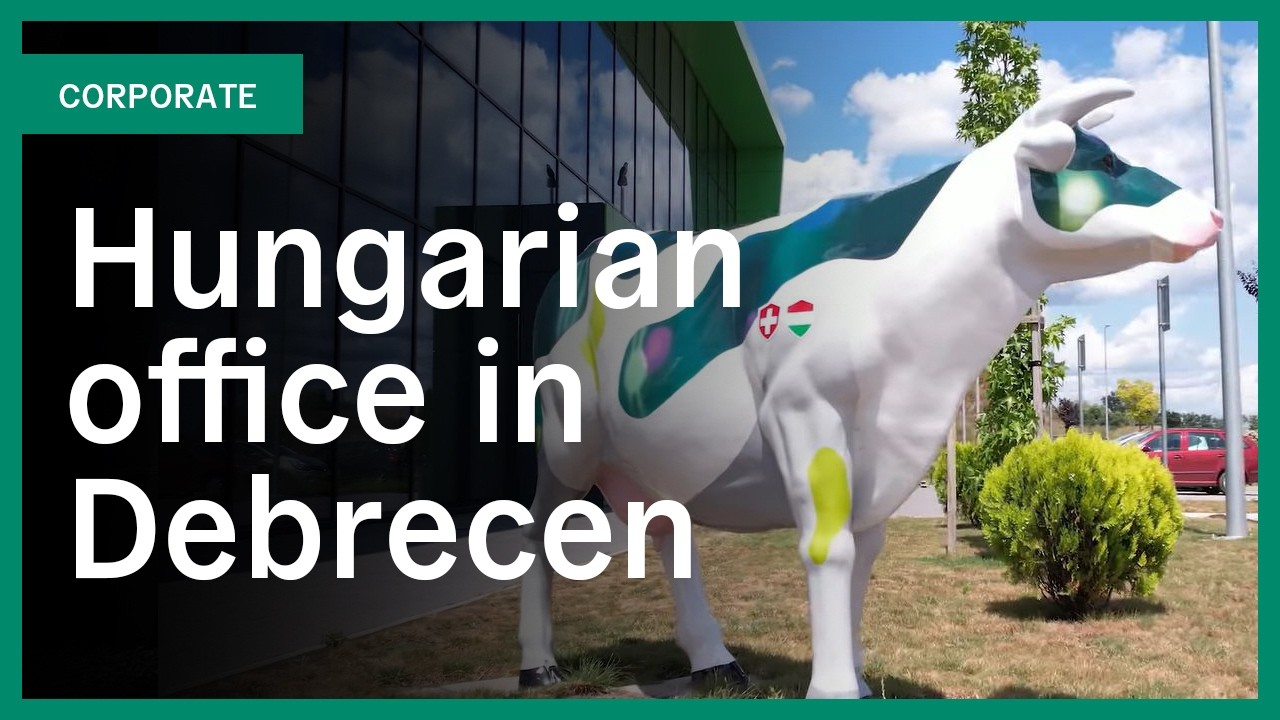 A glimpse inside the Hungarian office in Debrecen