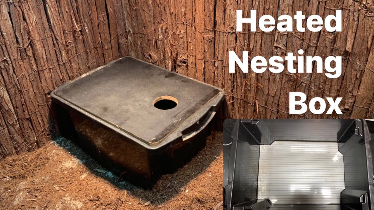 DIY Demo: Heated Lizard Lay Box
