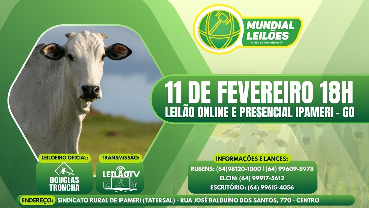 LEILÃO AO VIVO - MUNDIAL LEILÕES A MÃO DE DEUS ESTA AQUI - IPAMERI GO - 11/02/2026