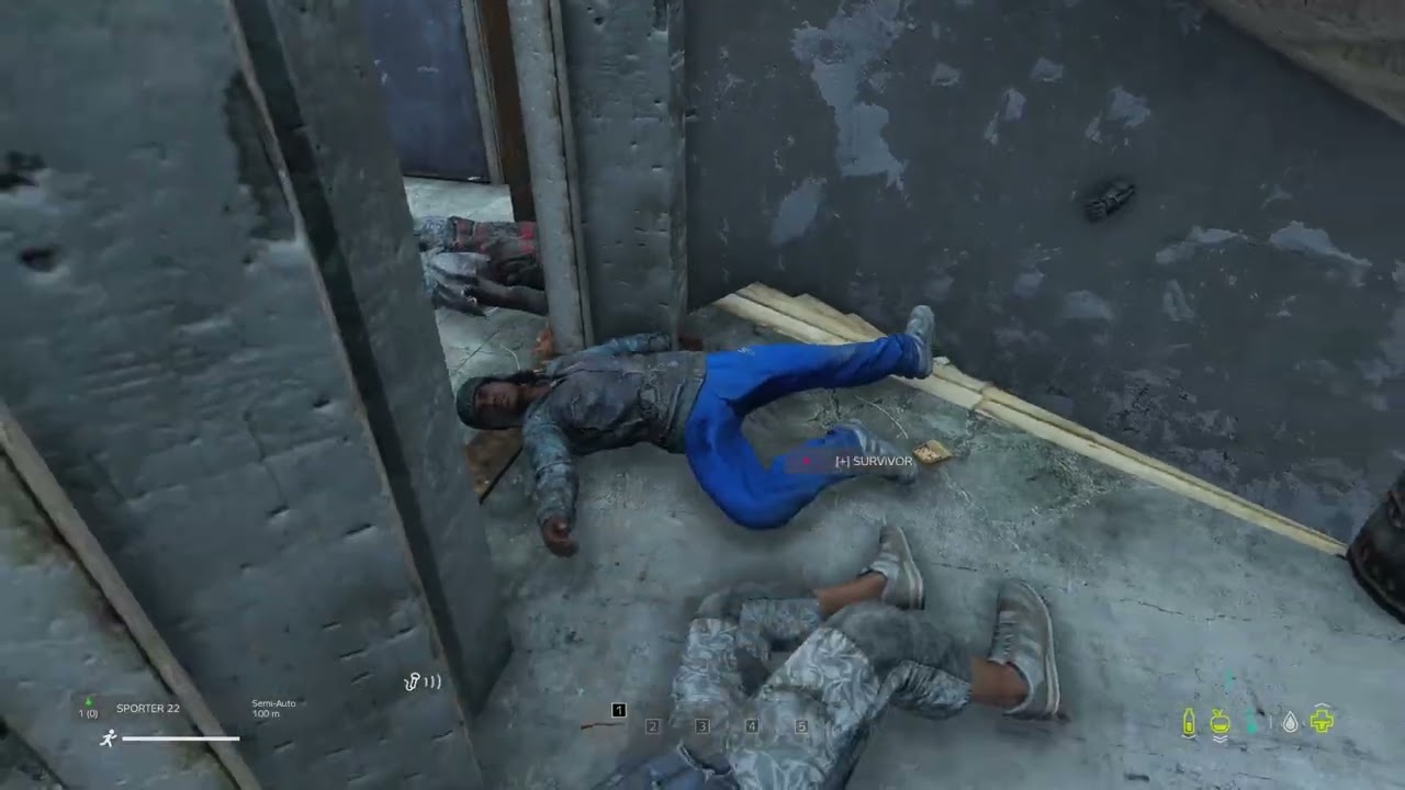 the Battle of Cool Broom PD  (dayz)