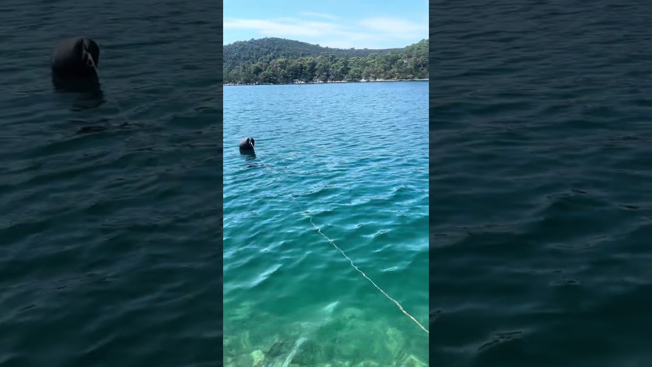HRVATSKA