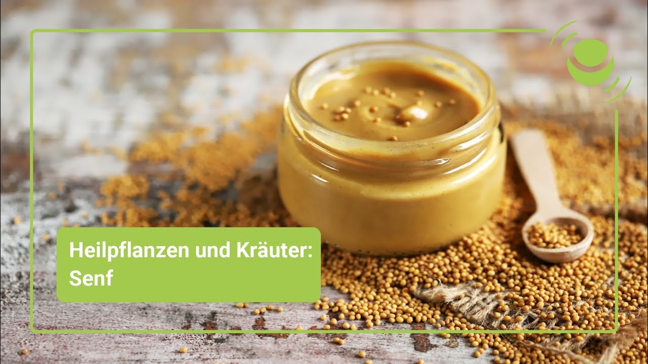 Senf &ndash; Alles, was du &uuml;ber seine Wirkung wissen solltest.