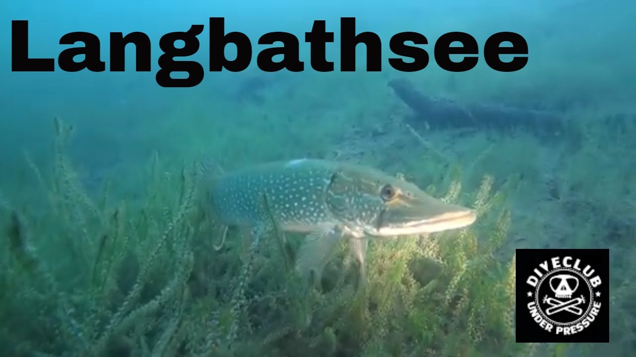 Tauchausflug Langbathsee mit Dive Club Underpressure am 30.9.2018