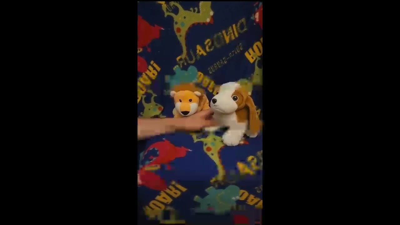 Peluche TV - Preguntas Y Respuestas