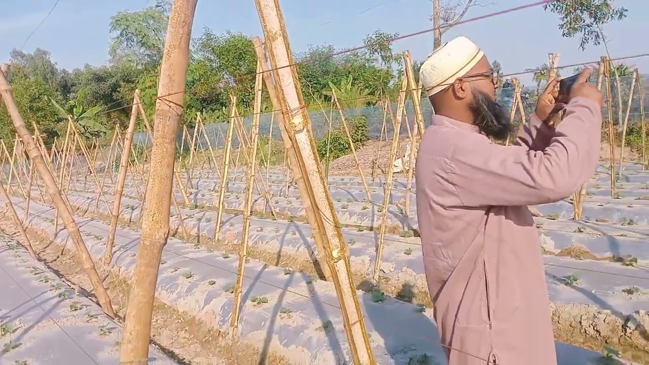 এক বেড ও মাচায় তিন ফসল চাষ করে, কিভাবে অধিক লাভবান হবেন। কি কি তিন ফসল চাষ করলে লাভবান হবেন।