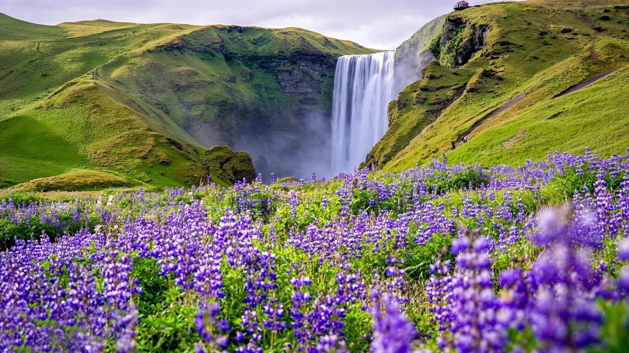 Gentle Music Calms The Nervous System And Pleases The Soul 🌿 Relaxing Music To Reduce Stress